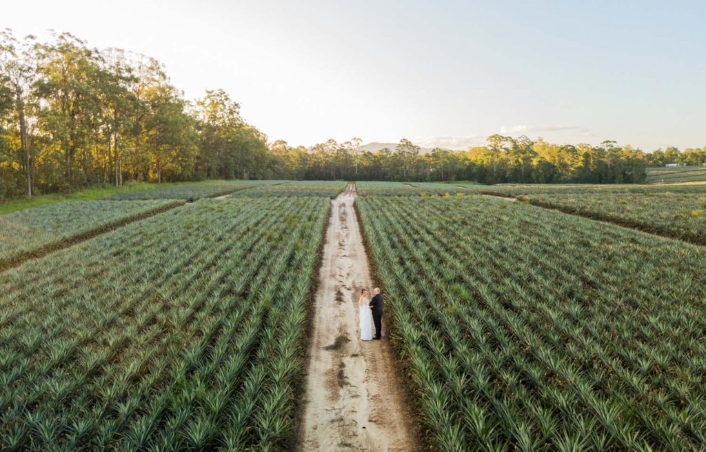 aerial drone shot in sunshine coast hinterland