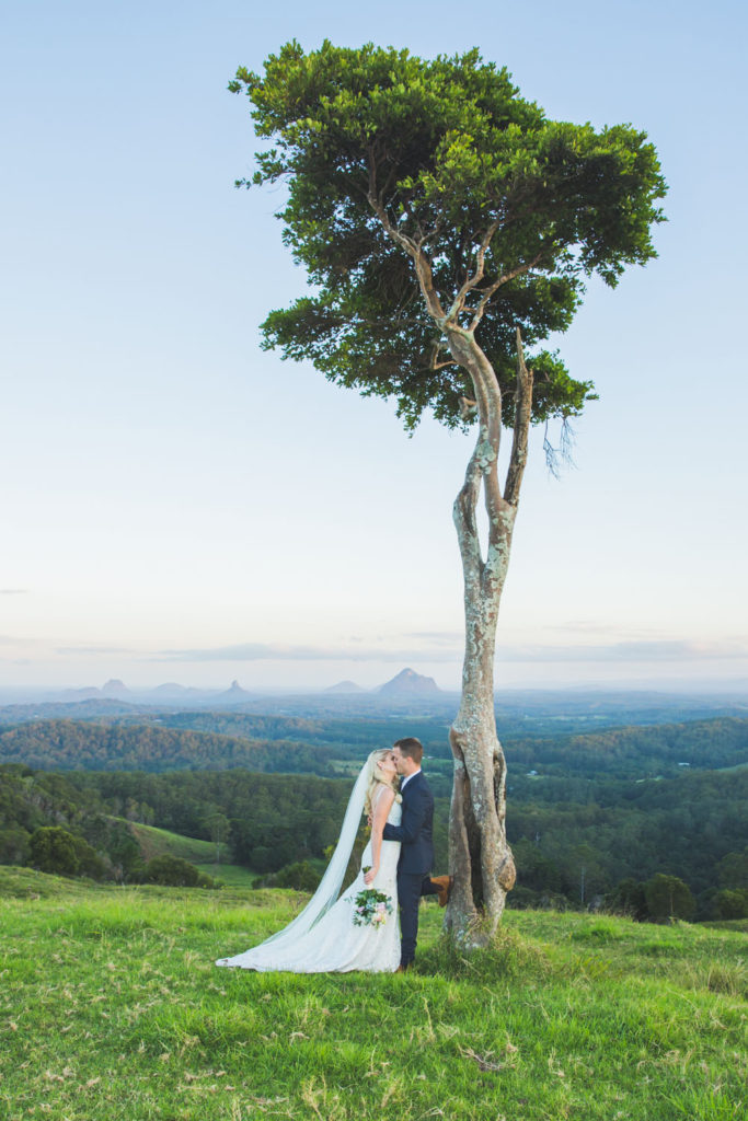flaxton gardens tree and amazing view