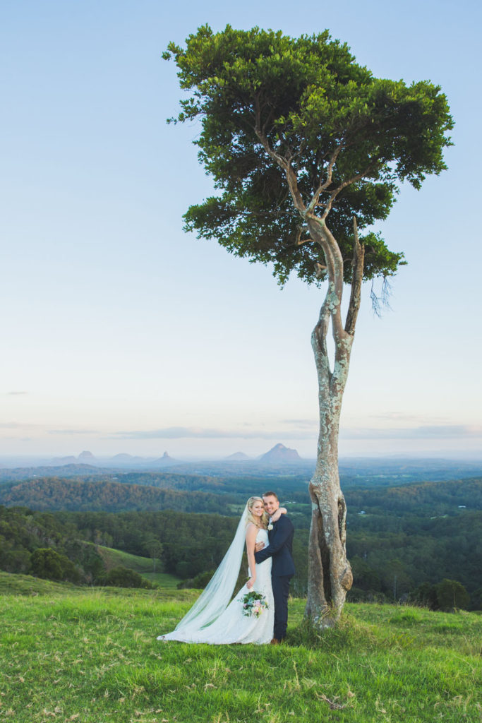 flaxton gardens tree and amazing view